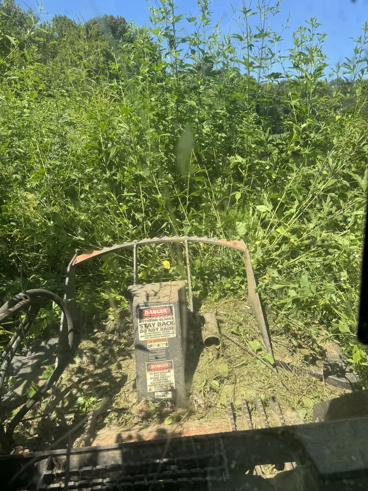 Brush cutter pushing into tall weeds and vines