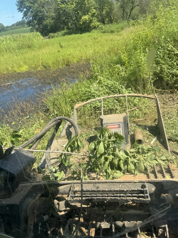 Brush cutter working a field edge along a creek bank