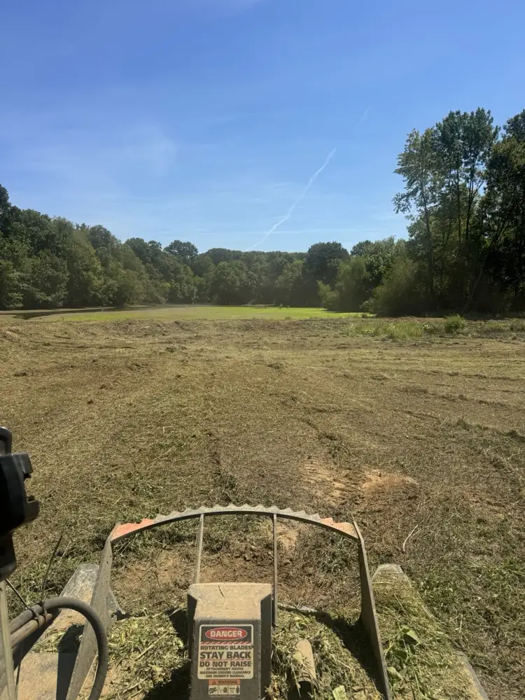 Brush cutter bush hogging an overgrown field, seen from the operator seat