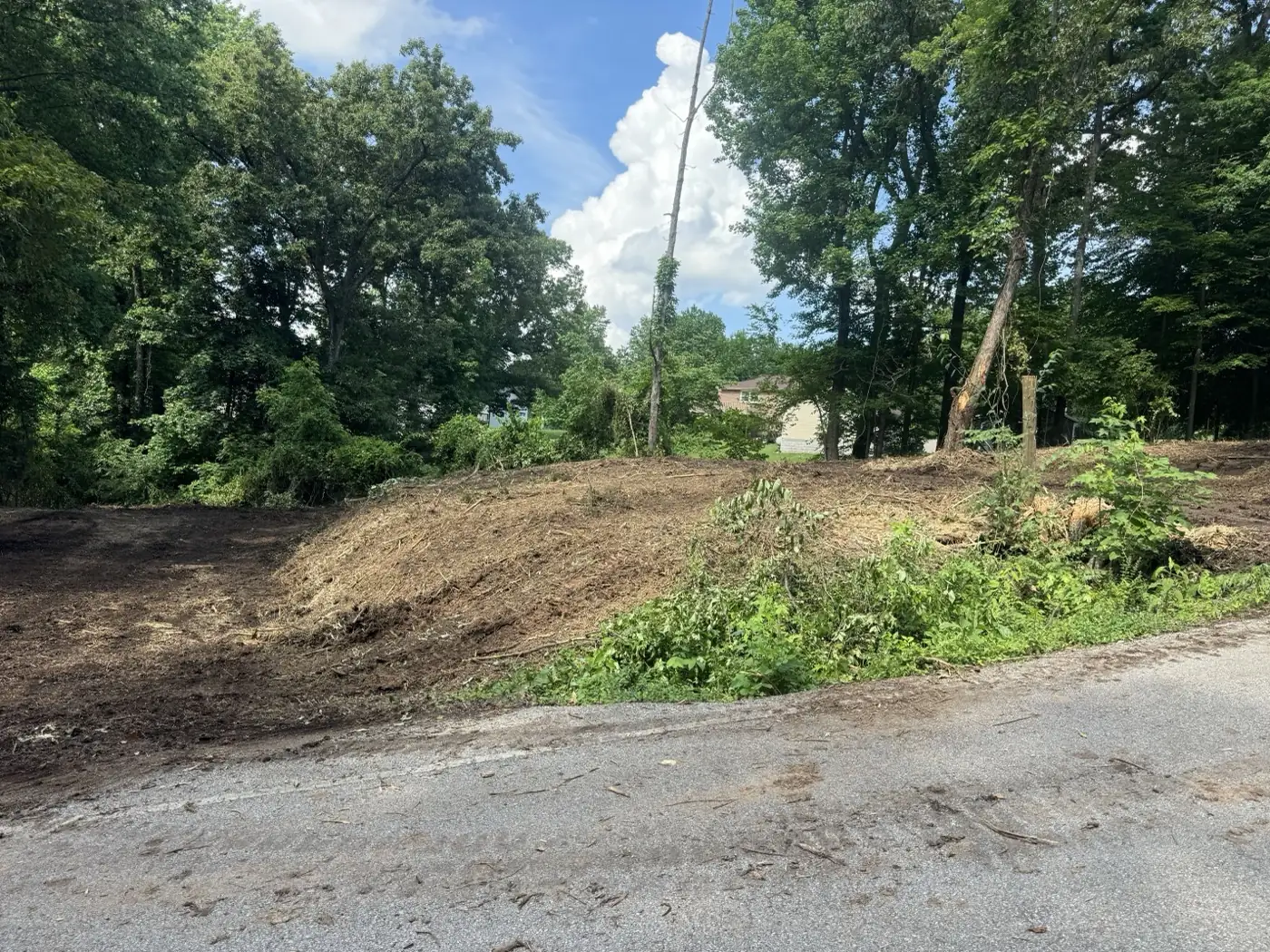 Corner lot after brush removal, bare dirt graded back from the road