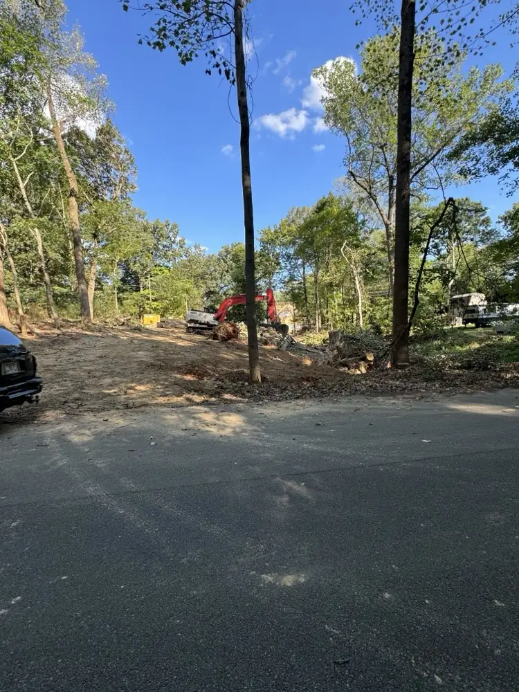 Excavator working at the back of a cleared roadside lot