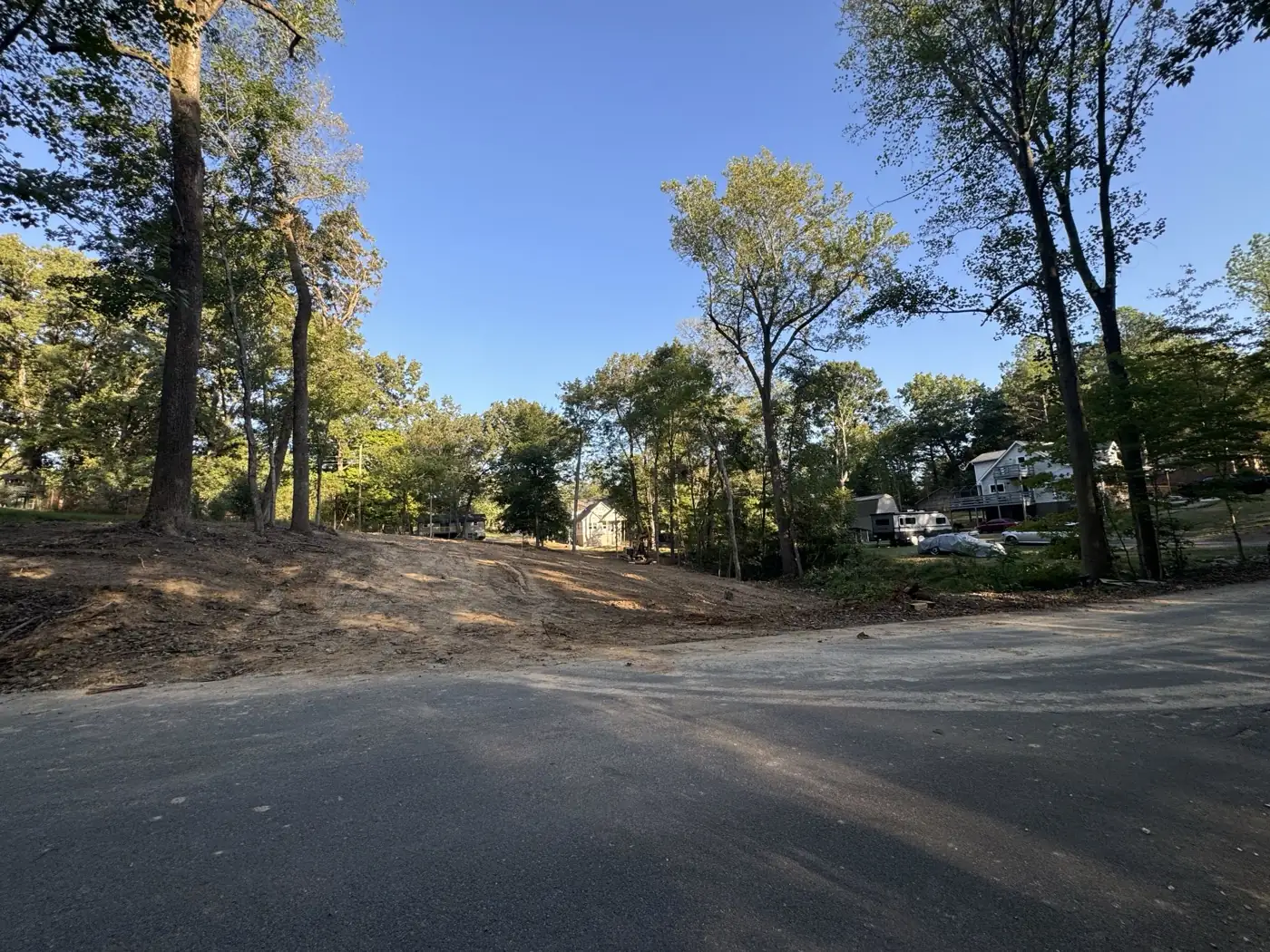 Freshly cleared lot seen from the road, hardwoods kept along the edges
