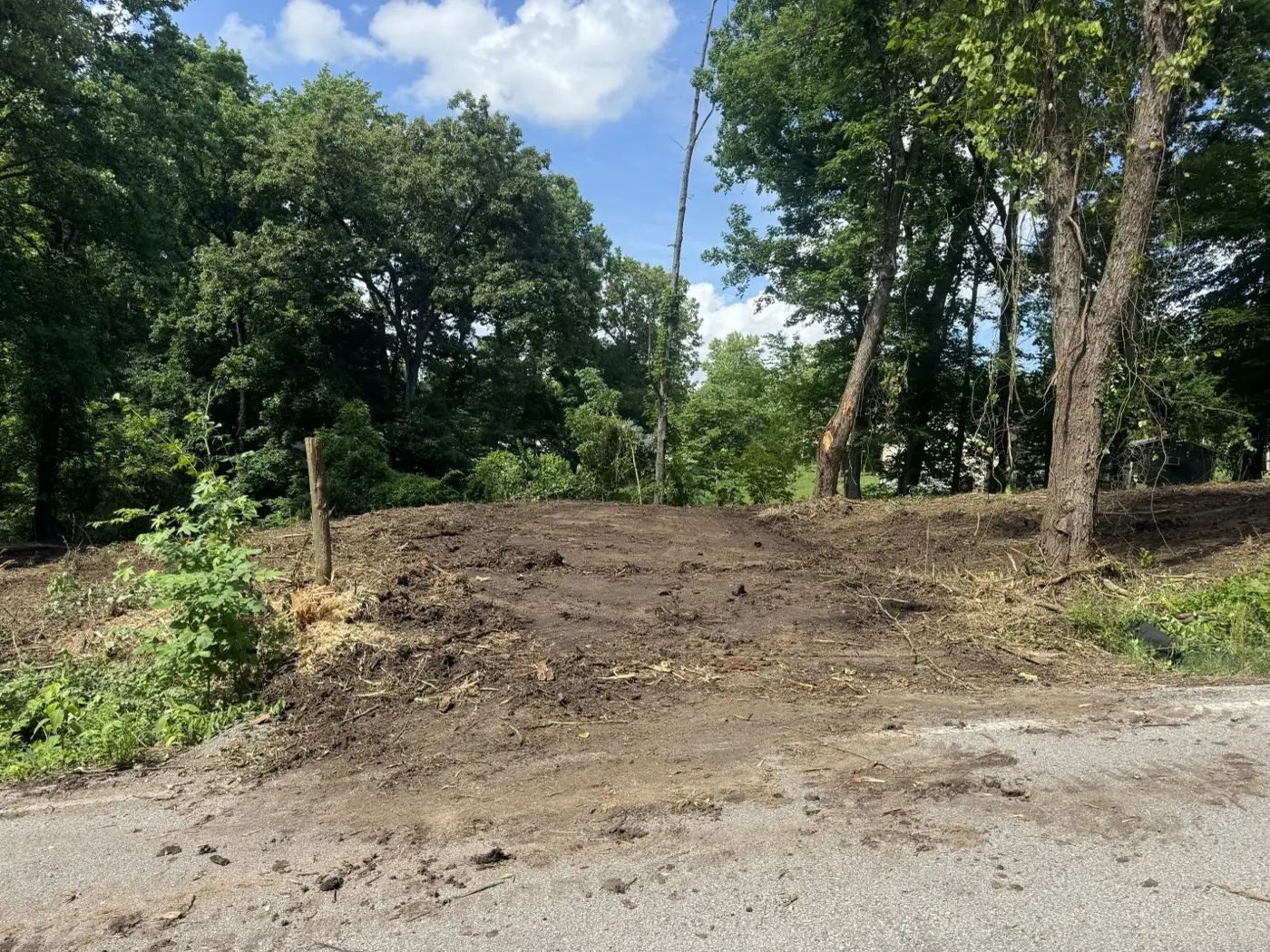 Graded dirt on a cleared lot with the tree line behind it