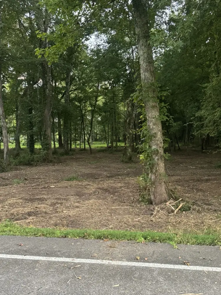 Cleared lot with the larger shade trees left in place