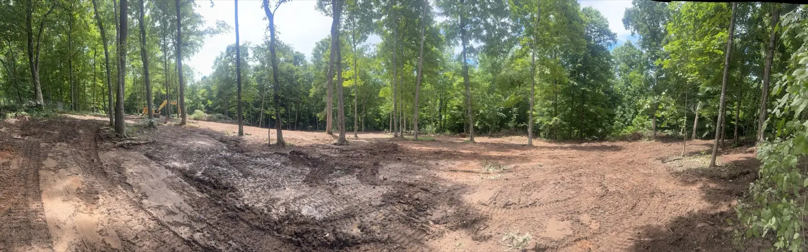 Wide view of cleared ground through a stand of hardwoods