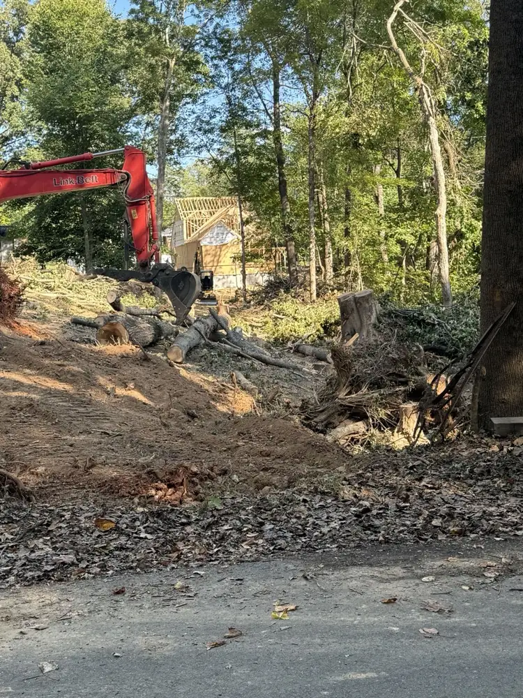 Excavator thumb lifting a pulled stump on a wooded lot during land clearing