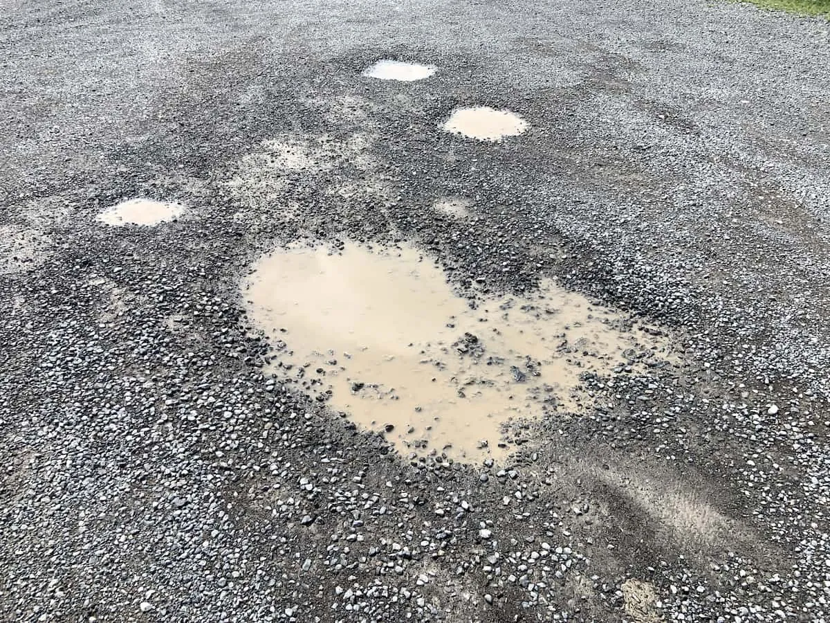 Potholes holding water in a worn gravel driveway