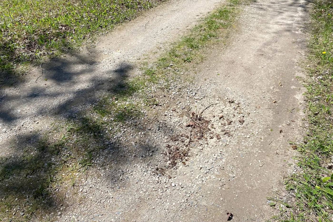 Gravel Driveway Repair in Woodlawn, TN